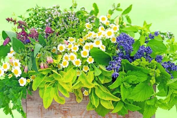 photo_5467774048672014178_x